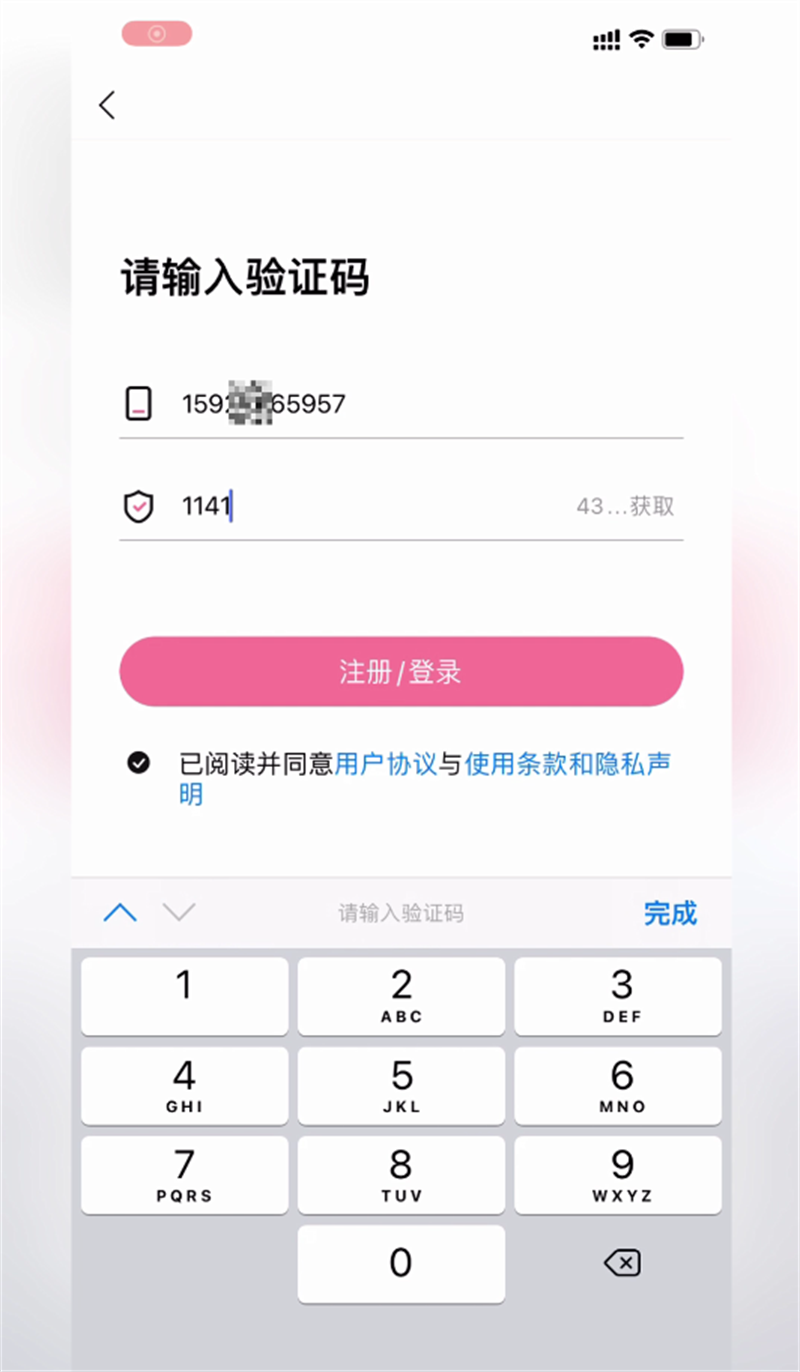 4-输入验证码.png
